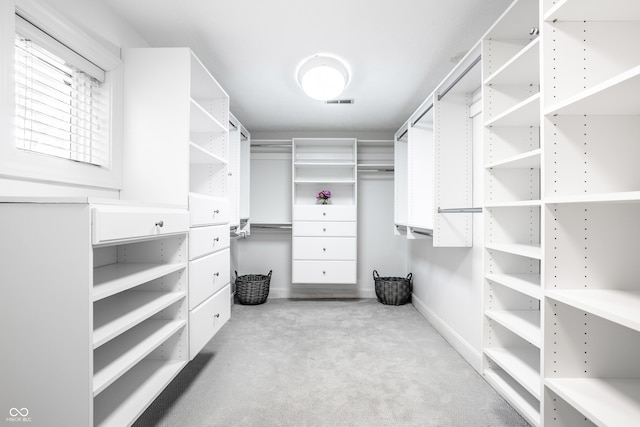 10919 Running Tide Ct, Indianapolis, IN 46236 - spacious closet featuring light colored carpet