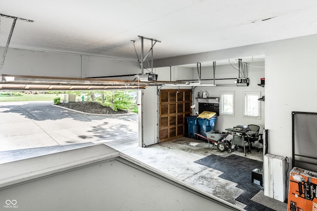 10919 Running Tide Ct, Indianapolis, IN 46236 - garage with a garage door opener