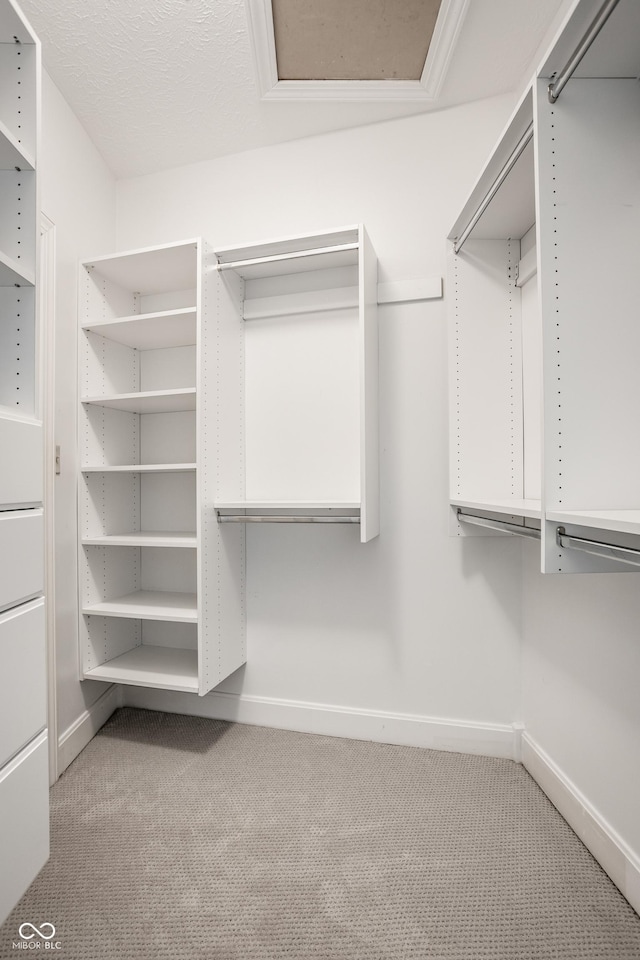 10919 Running Tide Ct, Indianapolis, IN 46236 - walk in closet featuring carpet