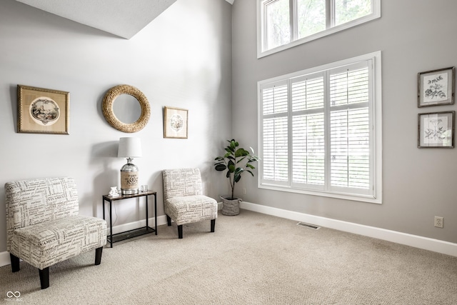 10919 Running Tide Ct, Indianapolis, IN 46236 - living area with carpet floors and baseboards