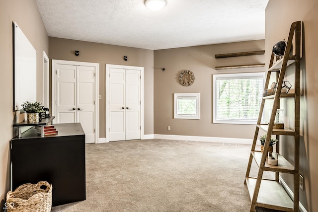 10919 Running Tide Ct, Indianapolis, IN 46236 - bedroom with multiple closets, light carpet, and a textured ceiling