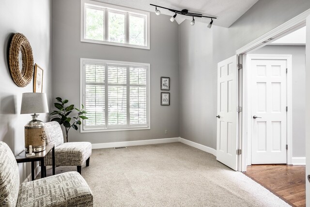 10919 Running Tide Ct, Indianapolis, IN 46236 - living area featuring a high ceiling, rail lighting, healthy amount of natural light, and carpet