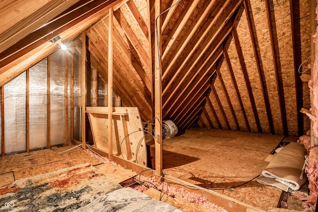 10919 Running Tide Ct, Indianapolis, IN 46236 - view of attic