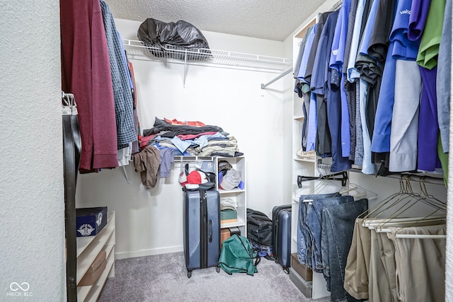walk in closet featuring carpet
