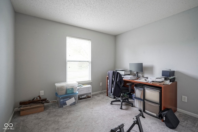office featuring baseboards, carpet flooring, and a textured ceiling