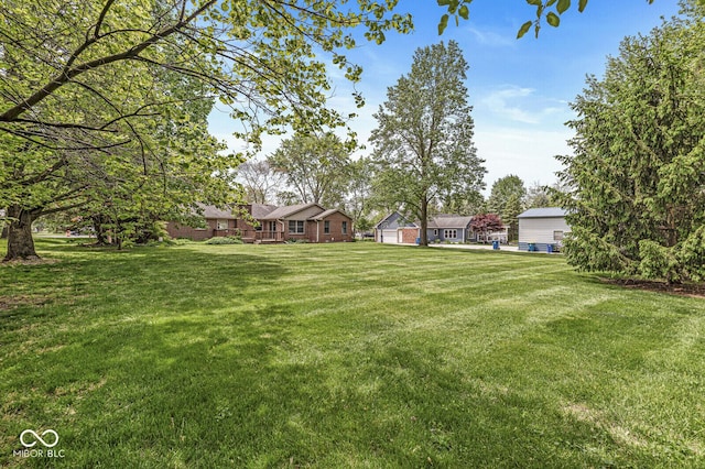 view of green lawn