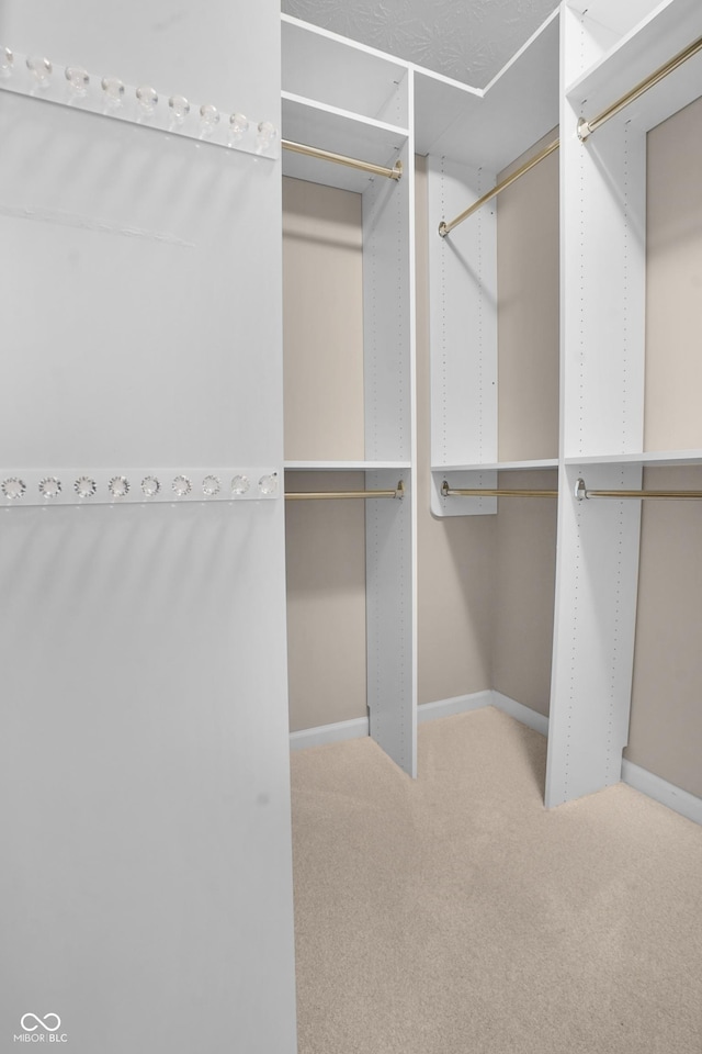 spacious closet featuring carpet