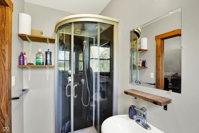 bathroom with a shower stall and a sink