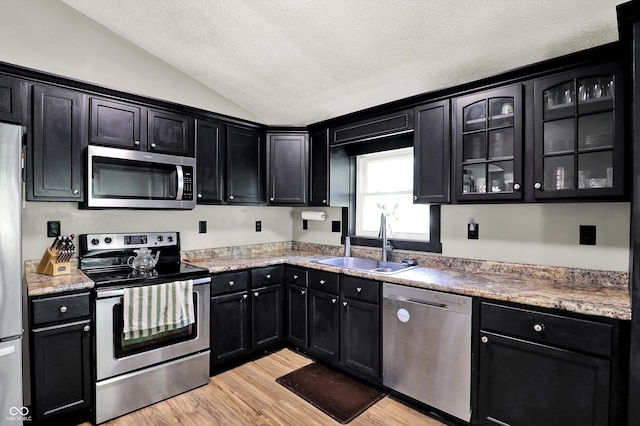 kitchen featuring dark cabinetry, stainless steel appliances, and a sink