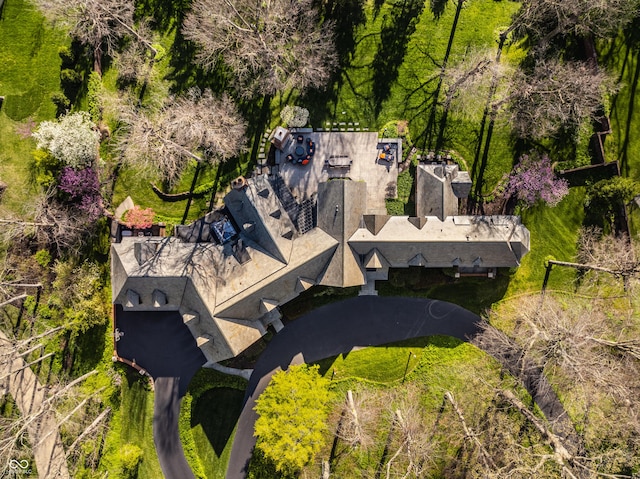 drone / aerial view