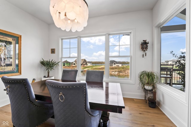 dining room with a healthy amount of sunlight, baseboards, and wood finished floors