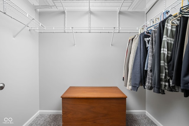 walk in closet with carpet