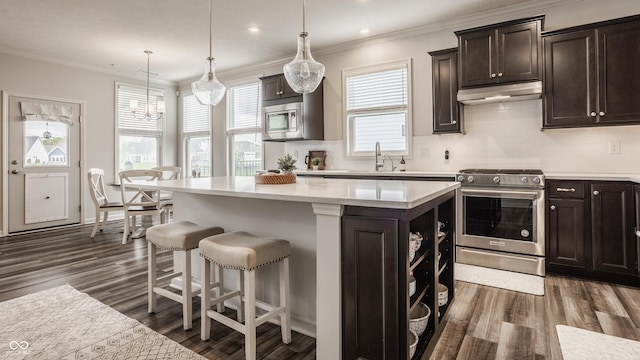 14878 Anees Ln, Fishers, IN 46040 - kitchen featuring stainless steel appliances, under cabinet range hood, dark wood finished floors, a sink, and recessed lighting