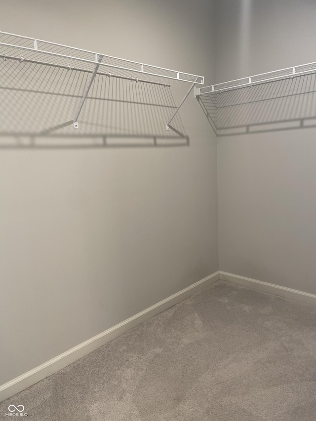 14878 Anees Ln, Fishers, IN 46040 - photo 24
