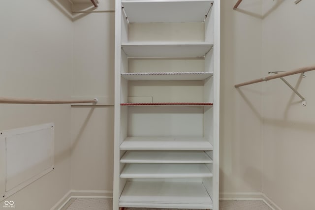 view of spacious closet