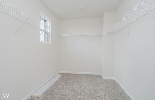 6871 Seabiscuit Rd, Whitestown, IN 46075 - spacious closet featuring carpet
