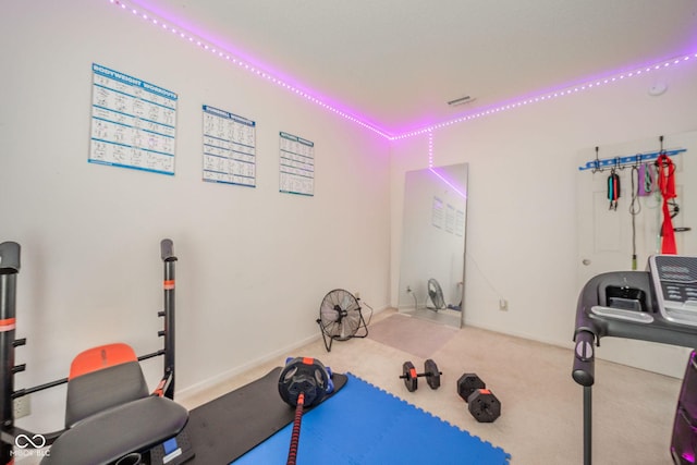workout area featuring carpet flooring