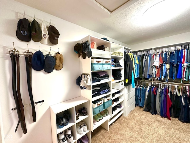 walk in closet with carpet floors