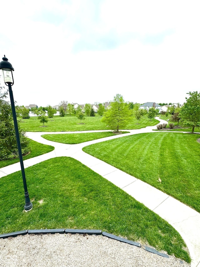 view of home's community with a yard