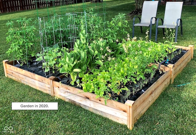 exterior view of a vegetable garden and fence