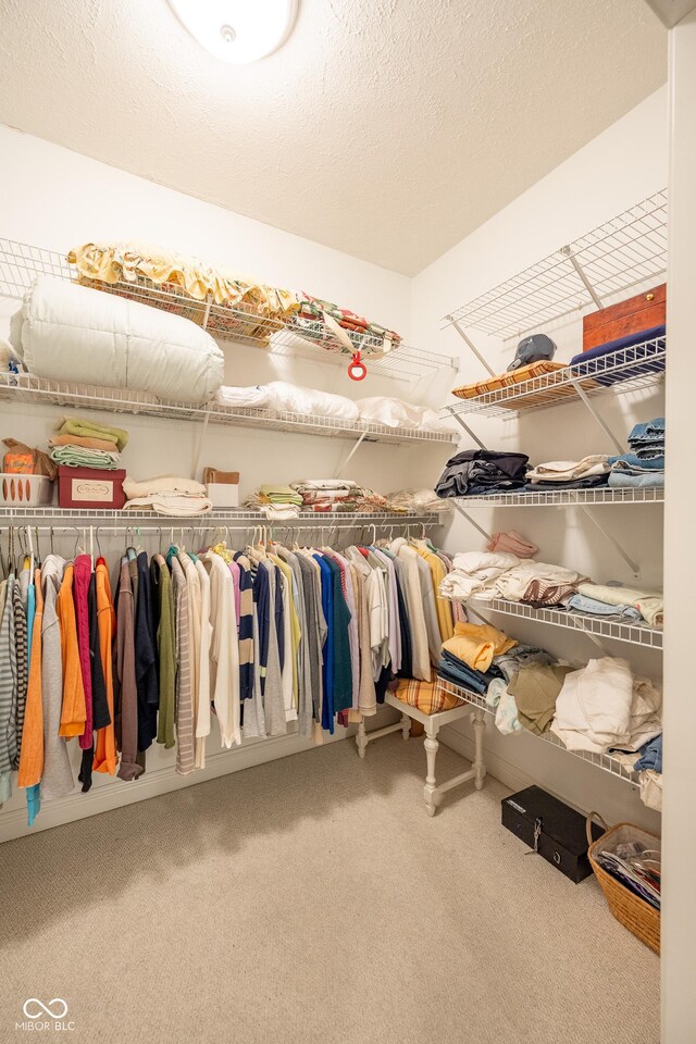 476 Glenview Dr, Greencastle, IN 46135 - spacious closet with carpet floors