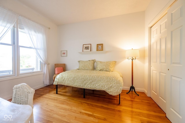 476 Glenview Dr, Greencastle, IN 46135 - bedroom featuring wood finished floors and a closet