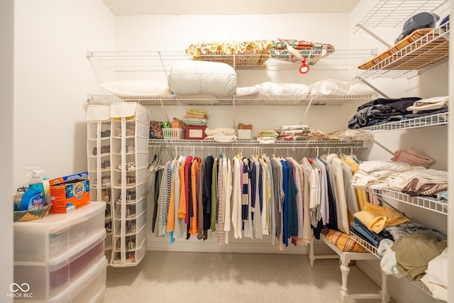 476 Glenview Dr, Greencastle, IN 46135 - spacious closet with carpet floors