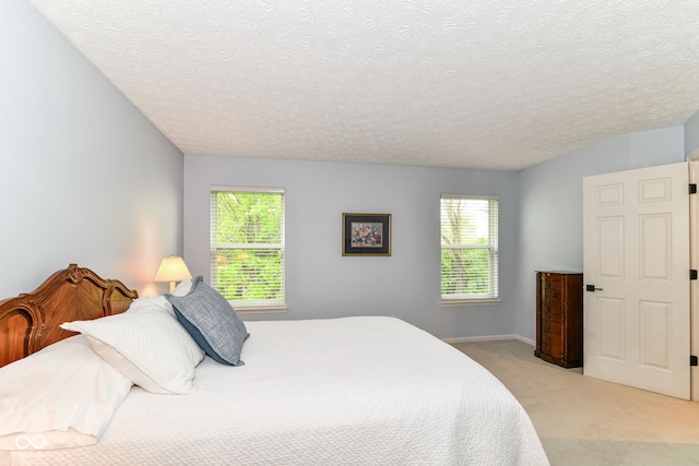 bedroom with a textured ceiling, light carpet, and multiple windows