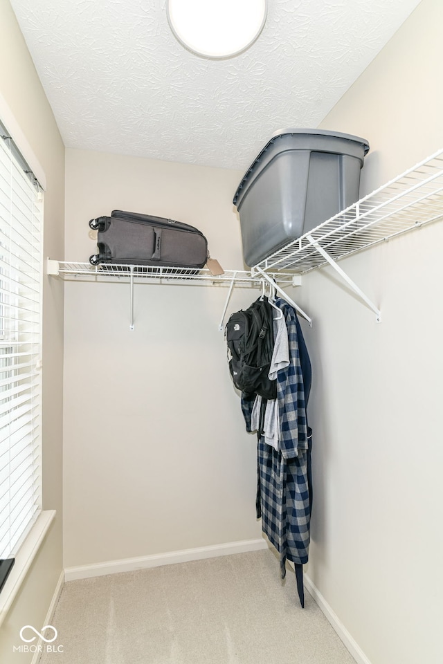 walk in closet featuring light carpet