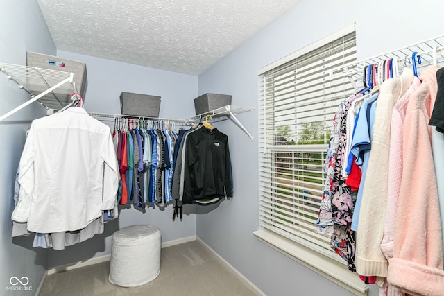 walk in closet featuring carpet