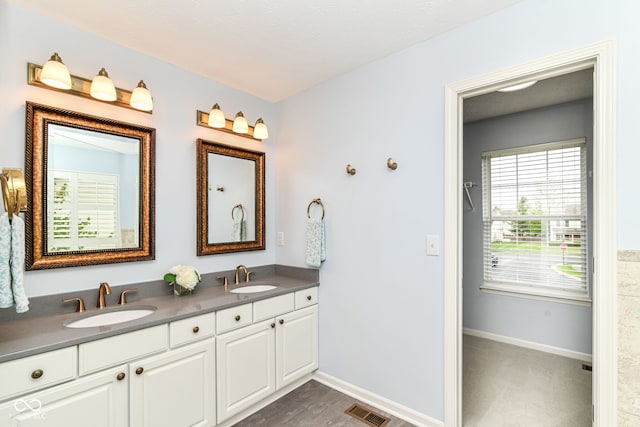 full bathroom featuring a sink, baseboards, double vanity, and visible vents