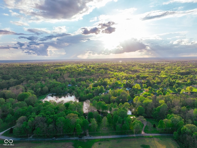 bird's eye view with a water view and a wooded view