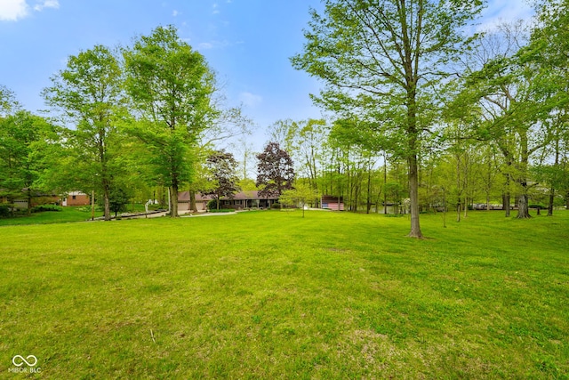 view of yard
