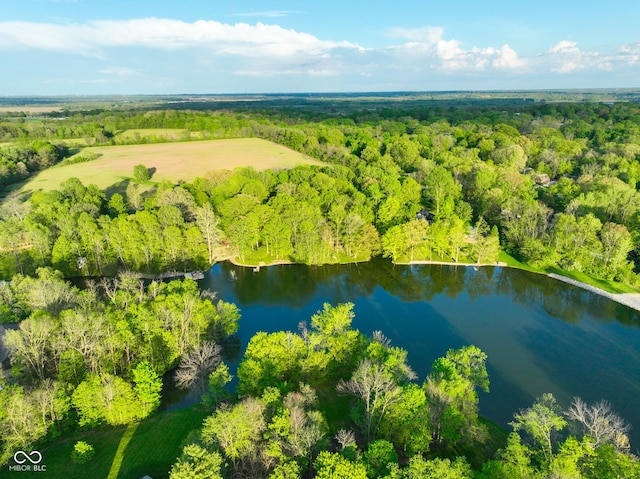 drone / aerial view with a water view and a view of trees