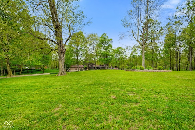 view of yard