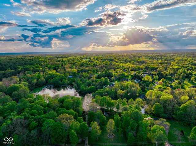 drone / aerial view with a forest view and a water view