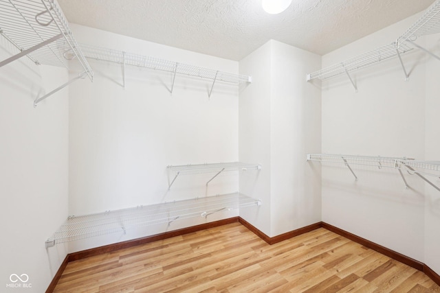 spacious closet featuring light wood-type flooring