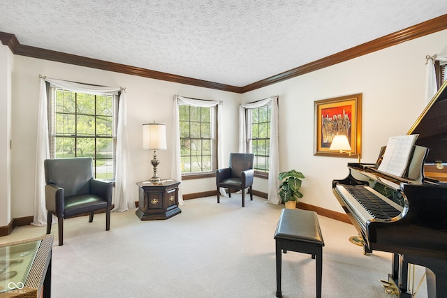 living area featuring crown molding, baseboards, carpet, and a textured ceiling