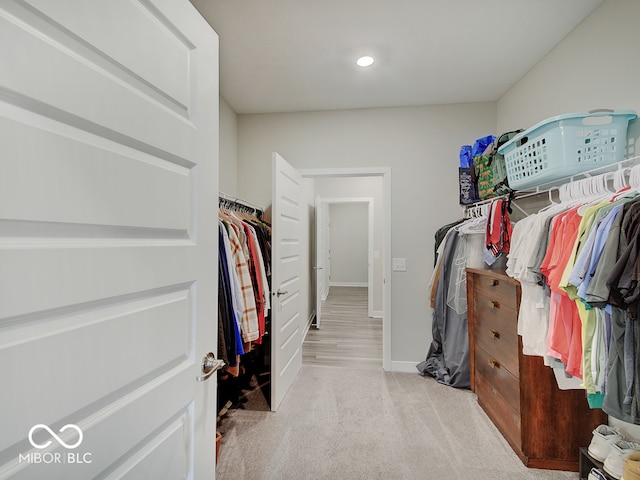 spacious closet featuring carpet floors