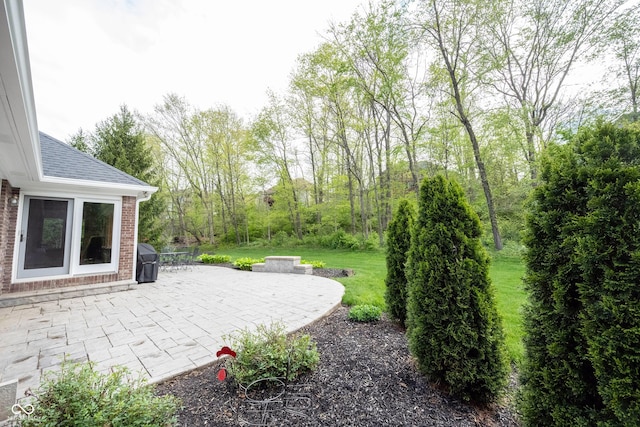view of yard featuring a patio