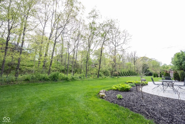 view of yard featuring a patio area