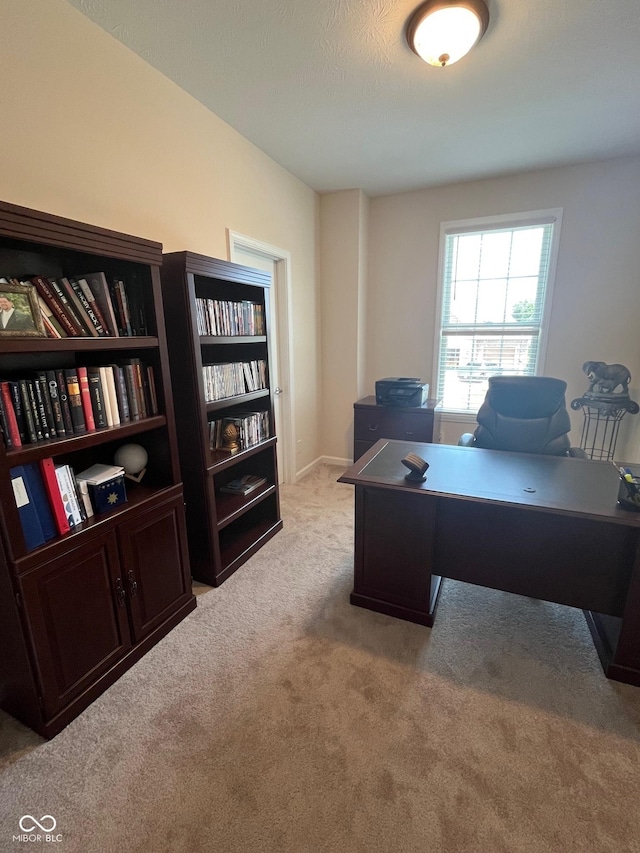 home office featuring light colored carpet