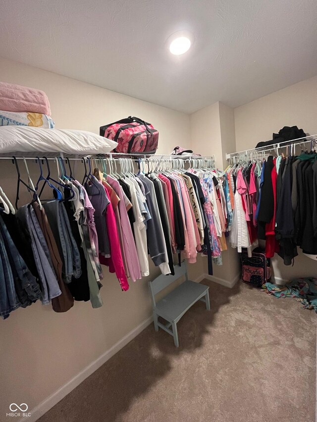 walk in closet featuring carpet