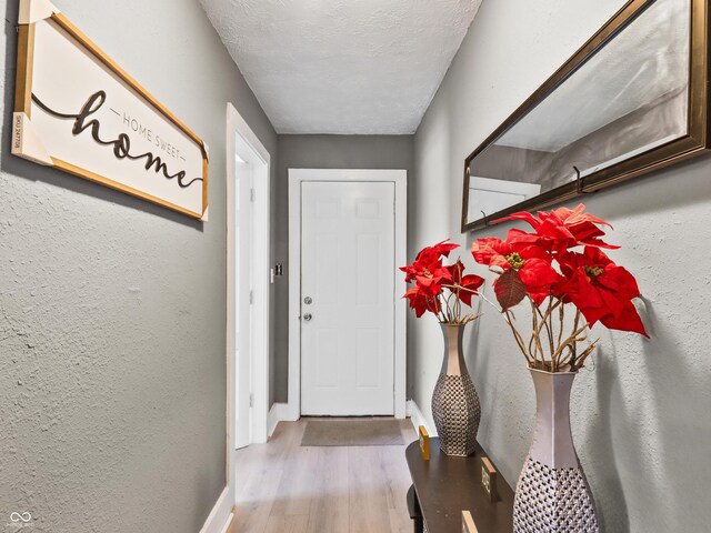 1401 E 24th St, Muncie, IN 47302 - doorway with wood finished floors, a textured wall, and a textured ceiling