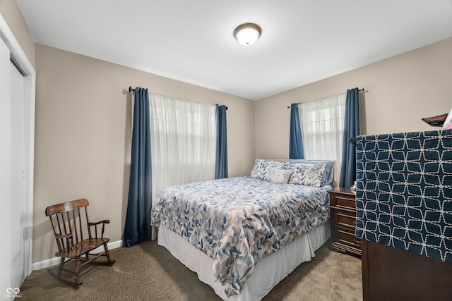 bedroom featuring a closet, multiple windows, and carpet flooring