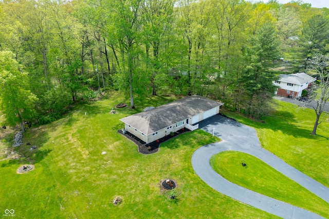 aerial view