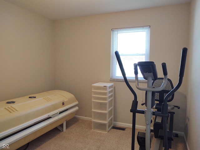 2630 Wedgewood Dr, Columbus, IN 47203 - exercise area featuring baseboards, light colored carpet, and visible vents