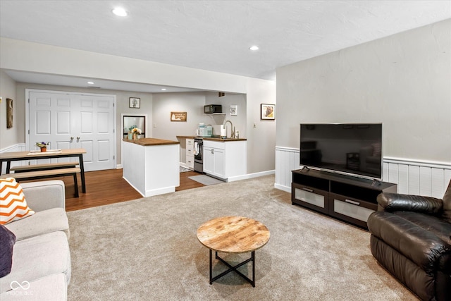 2450 S US-421, Zionsville, IN 46077 - carpeted living area with a sink, a wainscoted wall, recessed lighting, and wet bar