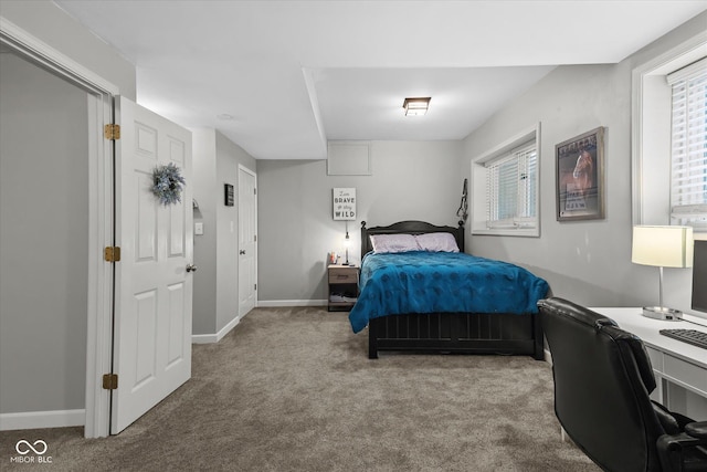 2450 S US-421, Zionsville, IN 46077 - bedroom with baseboards and carpet flooring