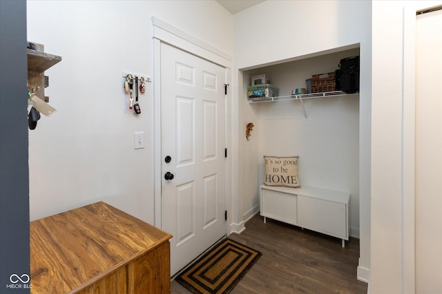 mudroom with dark wood-type flooring